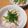 猫団子♡smkh's cooksnap of when they made ごぼう胡麻サラダ♪簡単便秘に.