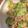 んりおか's cooksnap of when they made かに缶 きゅうり だけ！ 簡単.