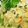 smilemama7's cooksnap of when they made ☆ポテトサラダ☆.