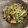 Miporin☆15's cooksnap of when they made パパッと♫水菜と舞茸のだし炒め.