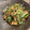 Miporin☆15's cooksnap of when they made パパッと♫水菜と舞茸のだし炒め.