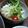 dimbula121's cooksnap of when they made 超簡単♪✨大根とホタテのマヨサラダ✨.