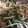 ☆苹凛☆'s cooksnap of when they made ニラもやし炒め 簡単！早い！旨い！安い！.
