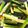 クックHB0OYQ☆'s cooksnap of when they made 胡瓜のゴマ油の奴☆ニンニク好きなら大丈夫.