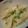 mocom's cooksnap of when they made 餃子の皮.
