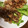 イリエコネクション's cooksnap of when they made 揚げ鶏のねぎソース♪.
