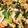 ニコ37's cooksnap of when they made きゅうりとチンゲン菜の卵炒め.