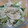 448's cooksnap of when they made 簡単★水菜とささみのさっぱりサラダ.
