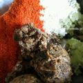 mroses's cooksnap of when they made 自家製豆板醤.