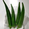 tamago大好き's cooksnap of when they made オクラの茹で方.