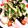 ☆クッキングパンダ☆'s cooksnap of when they made 大根ときゅうりの海苔サラダ♪.