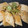 クックV71KF9☆'s cooksnap of when they made 簡単！カツオの漬け焼き.