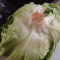 向日葵くっく's cooksnap of when they made レタスの保存の仕方.