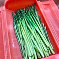 Superlittleboo's cooksnap of when they made アスパラガスの下拵え(レンジ蒸し).