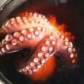 めめサン's cooksnap of when they made (覚え書き)生たこ茹で方.