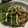 とら〜ず's cooksnap of when they made さっぱり♬豚肉と水菜のしょうがポン酢炒め.