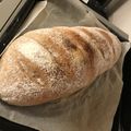 Koaland's cooksnap of when they made HB✩手作りライ麦20%バゲット.