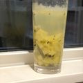 おが氏's cooksnap of when they made キウイフルーツ入り白ワイン.