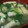 あゆたっくん's cooksnap of when they made 小松菜とお揚げの味噌汁.