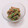 まあまま☆0403's cooksnap of when they made しっかり味のいんげんのごま和え.