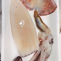 akiyuママ's cooksnap of when they made いかの下処理.