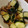 mikiha5's cooksnap of when they made 角切りきゅうりとなめたけの塩昆布あえ.