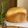 onioniko's cooksnap of when they made ホームベーカリーでフランスパン.