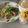 猫飼料理店。's cooksnap of when they made 豚ヒレ肉のさっぱり塩レモンステーキ.