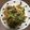 ちゃすたろう's cooksnap of when they made 九条ネギの豚バラ味噌炒め。.