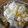 96454's cooksnap of when they made ☆今が旬！美味しいとうもろこしご飯☆☆☆.