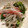 クック2DCB1D☆'s cooksnap of when they made もやしとレタスの洋風ナムル.