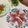 kpえもん♪'s cooksnap of when they made イチジクと生ハムのアンティパスト♪.