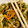 szkdy's cooksnap of when they made 定番☆切り昆布の炒め煮.