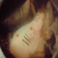 なべっこどうぶつ's cooksnap of when they made 筍のゆがき方☆.