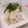 ともえcook's cooksnap of when they made 捨てちゃやーよ☺かぶの葉で簡単漬け物.