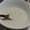 ヨシヨッシー's cooksnap of when they made きのこのミルクスープ.