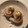 ラクラクダ's cooksnap of when they made おひとりさまのちくわで簡単おつまみ⑲.