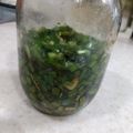 もひこママ's cooksnap of when they made にらの醤油漬け.