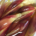 たろ251's cooksnap of when they made みょうがの甘酢漬け♪.