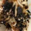 ma___111's cooksnap of when they made キャベツの海苔の佃煮和え.