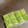 olive11's cooksnap of when they made 基本です！生わさびのおろし方と保存方法.