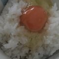 ﾌﾞﾚﾝﾀﾞ's cooksnap of when they made ＴＫＧ!卵かけご飯の食べ方いろいろ.