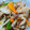 9625★'s cooksnap of when they made なめこと豚肉の塩炒め.