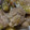 448's cooksnap of when they made ご飯に合う！ナスと豚肉のオイスター炒め.
