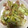 ちゃーLove's cooksnap of when they made 作り置き簡単、白菜とハムマスタード炒め.