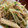 sao050902's cooksnap of when they made あと一品！エリンギともやしのだし醤油炒め.