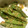 ひろふみくん's cooksnap of when they made 簡単！いんげん豆のごま和え.