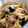 tiku1v's cooksnap of when they made なすとツナの絶品焼きうどん！.