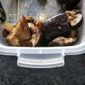 クックUL8OCM☆'s cooksnap of when they made ナスとズッキーニのマリネ.