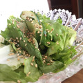 yappyパクパク's cooksnap of when they made レタスときゅうりのやみつきナムル.